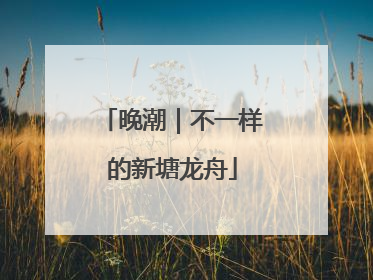 晚潮｜不一样的新塘龙舟